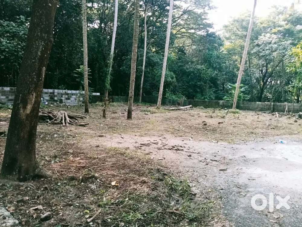 10cent rod sid kattchalrod thrumala tvm