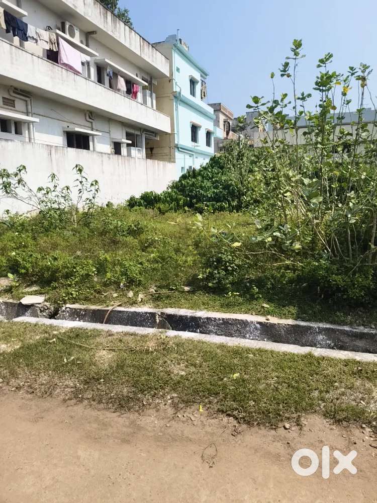 Good location area plot for sale