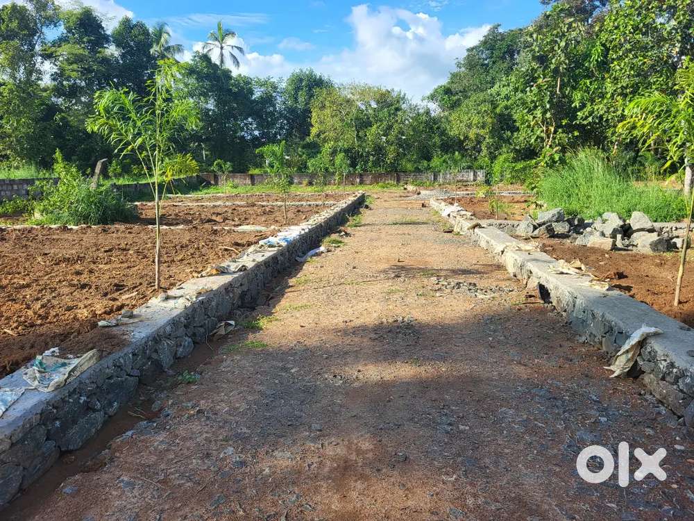 3.5 cent land very near Perumbilly busstop