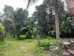 6.10 cents prime residential plot for sale near Edappally, Unichira