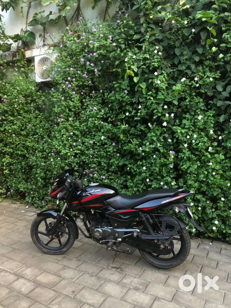 Neat and clean