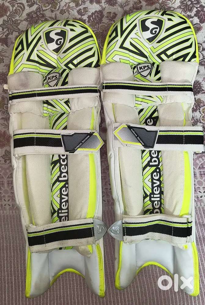 Cricket Kit only 2 months old