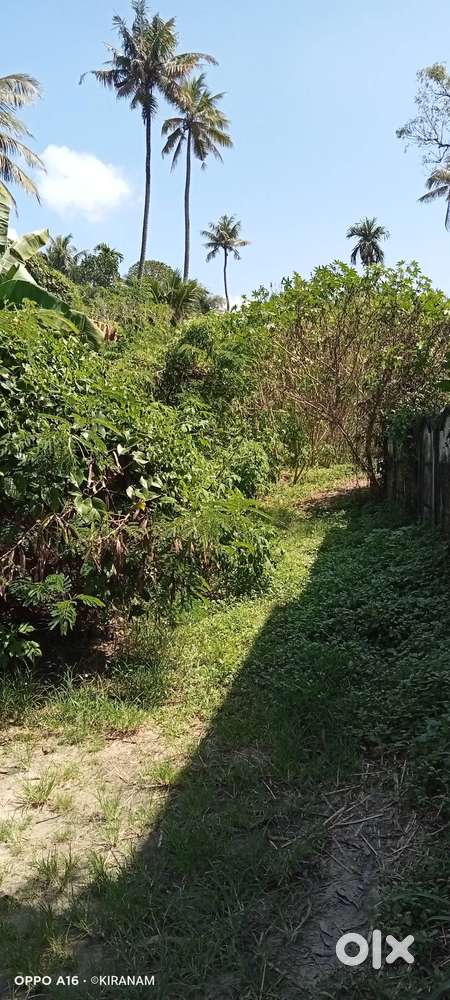 അന്തിക്കാട് പടിയം വില്ലേജ് സമീപം 11.5 സെന്റ് സ്ഥലം വില്പനക്ക്