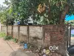 Aluva east kadungalloor 4 cent tar road frondage