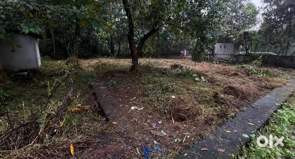 14 Cents Square plot at Kuruppampady Perumbavoor