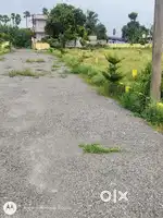 Location:-kankipadu Housing plots started 100 SQ.YARDS(1KM BANDAR ROAD