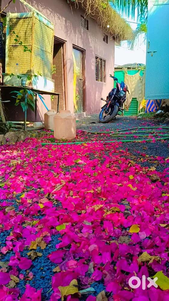 My home good condition and good area