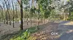 പാലാ എറണാകുളം ബസ് റൂട്ടിൽ മനോഹരമായ 6ഏക്കർ സ്ഥലവും വീടും.