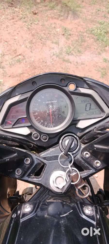 Black cobra mitlakate