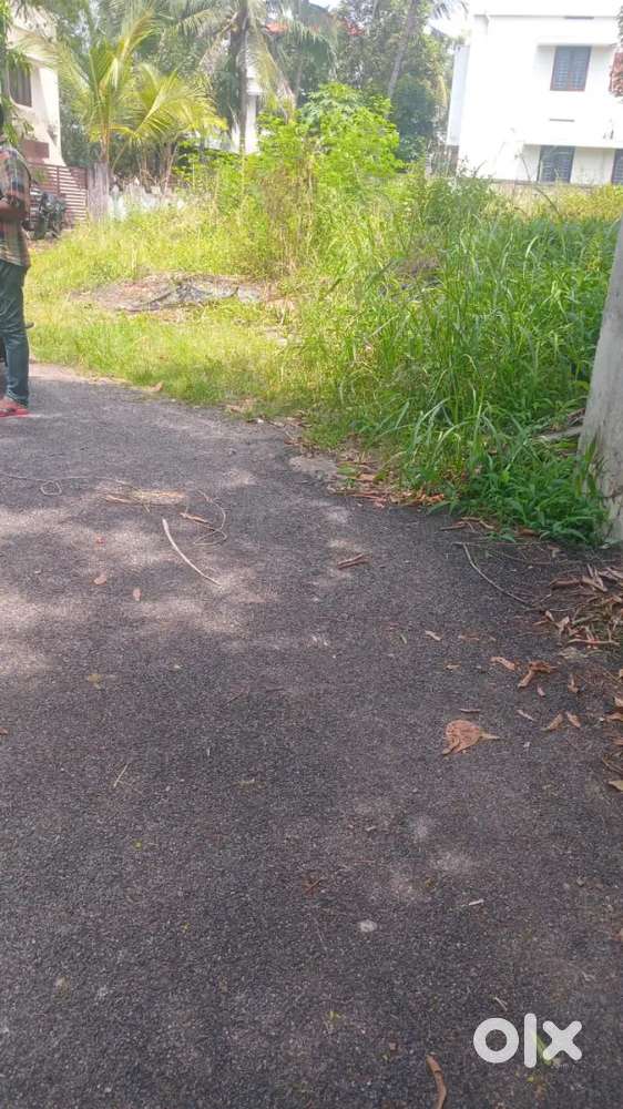 5.5 cent plot near sasthamangalam