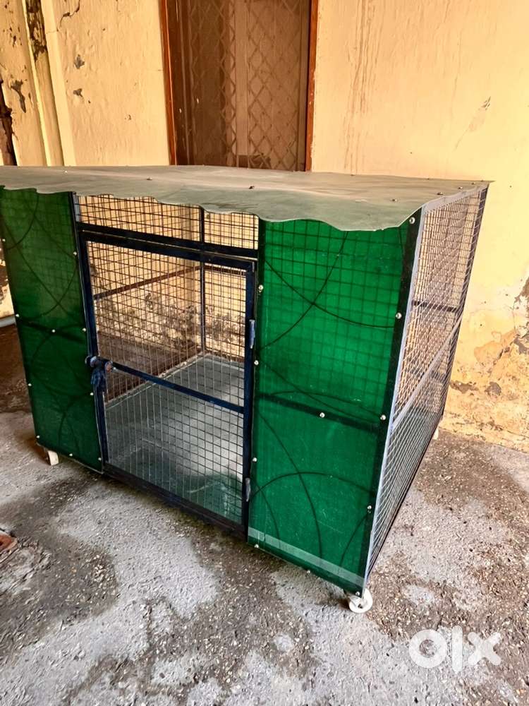 Dog   cage