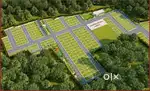 Agriculture Plot