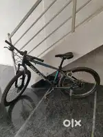 Raleigh MTB