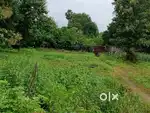 2.2 Acres commercial land