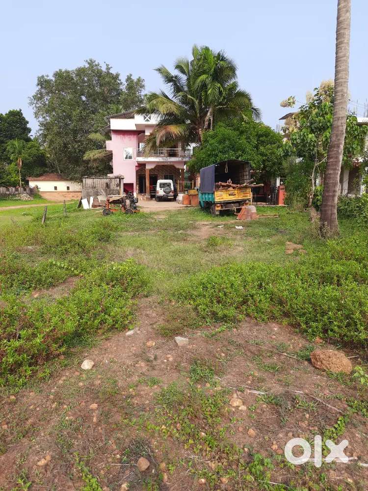 Bananje Property 10 cents