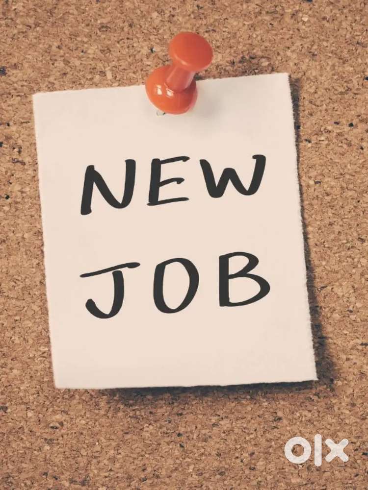 I want urgent job I have worked in a showroom in Bareilly for 2 years