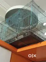 Cage for sale