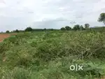 Open land for sale 2 sents