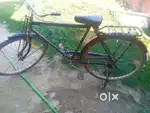 Darbhanga Alinager Word number 1