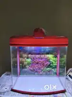 Modular Fish aquarium red colour