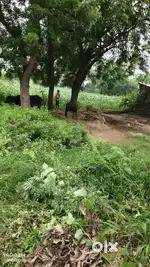 Khet plot makan