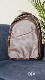 School/College/Office Bags