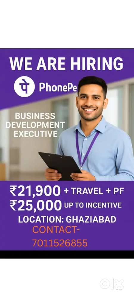 Business Development Executive