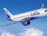 Indigo Airlines 2024 Ground Staff permanent Recruitment