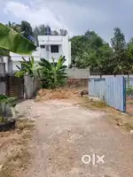 Chottanikkara main road 100 mtr 4.6 House plot sale