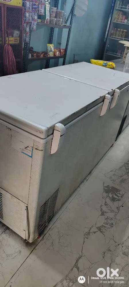 Bluestar 500 litre Deep fridge