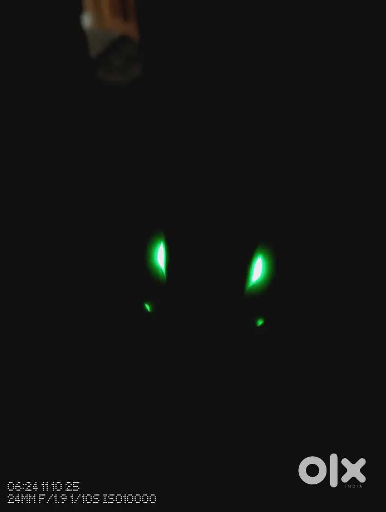 Wings gaming Earbuds (Brand new , orginal , battery back up10hr)