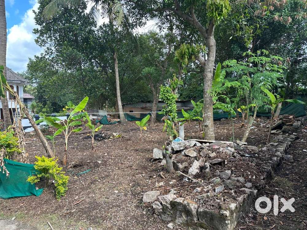 5.5 Cent Residential Plot for sale- Chooazhampala , Near Muttada