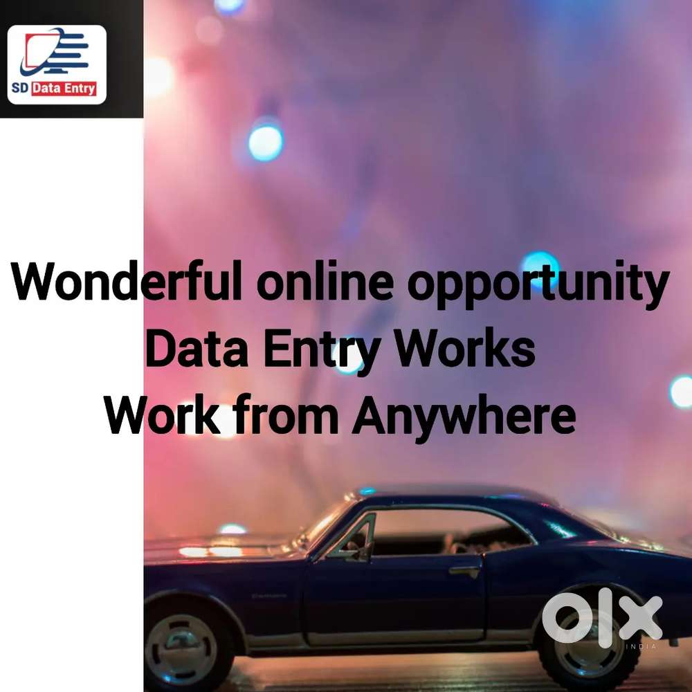 Wonderful Online Job Opportunity Data Entry