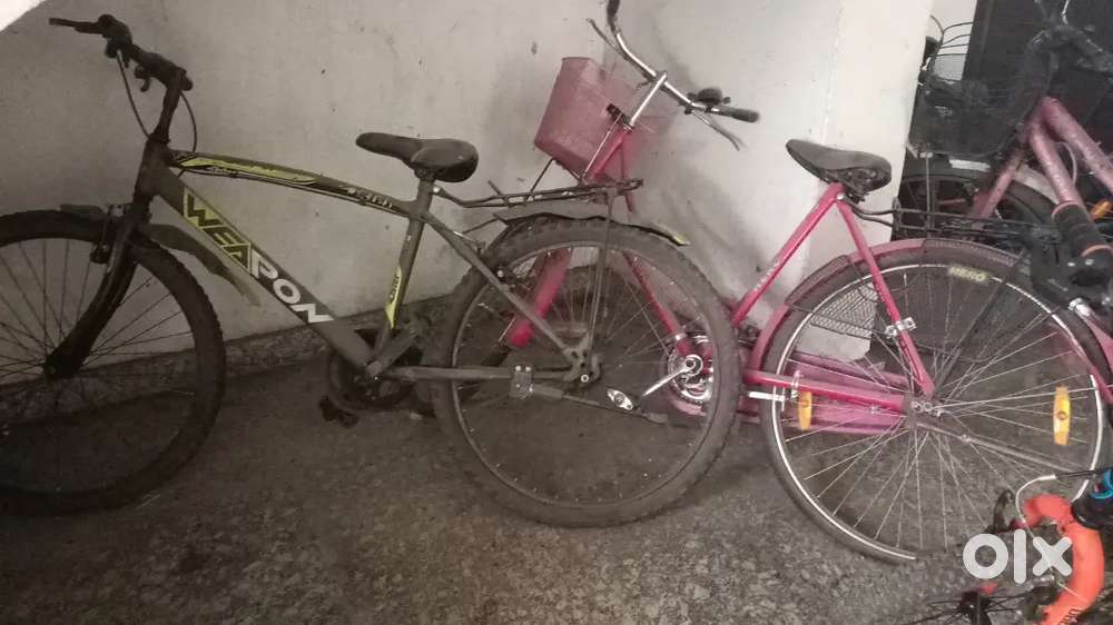 Two hero cycle , 2 year old