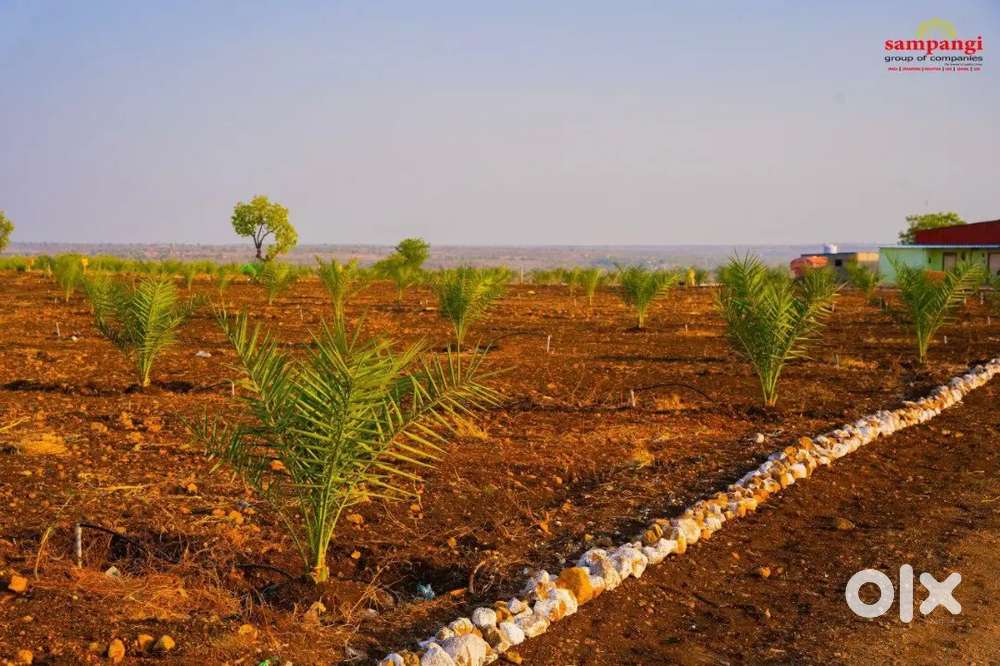 Health wealth happiness