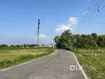 4,00,000 Miyadi patta plot