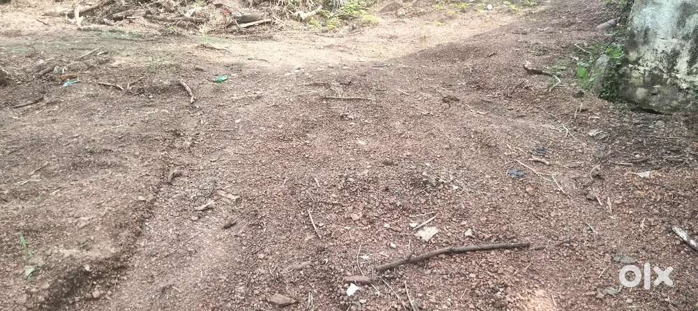 350000 per cent, Total 12 cent plot for sale