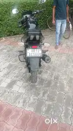Pursuer 150