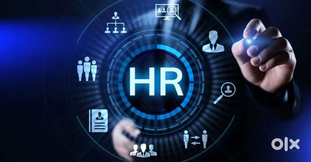 Wanted  HR in company