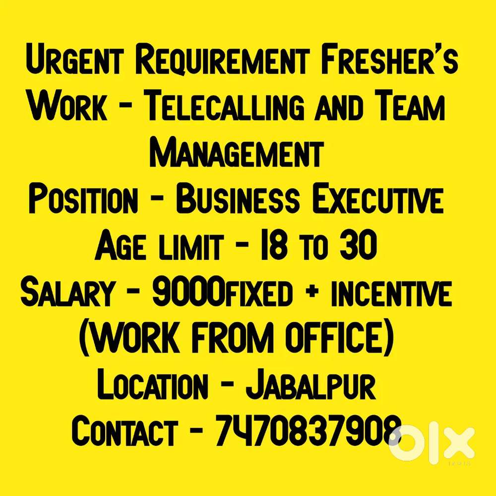 Calling Work for freshers