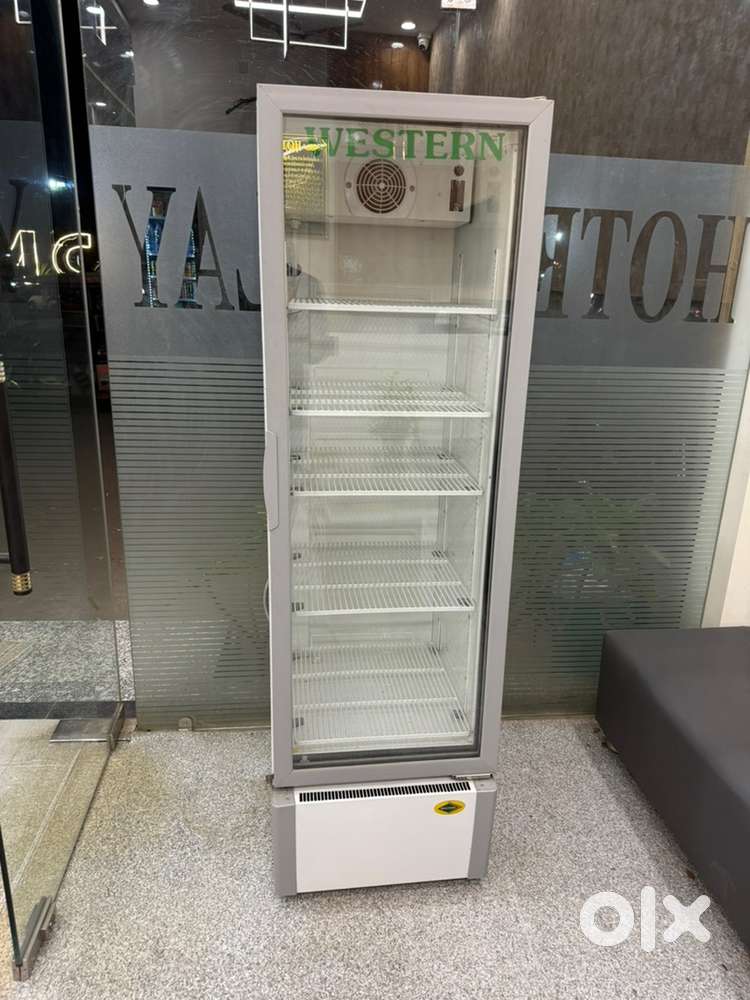 20 month old display freege