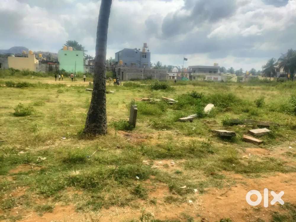 key features : 25 feet road