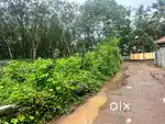 10 cent 2 plot in kunnumpuram thengan road , main road 2 nd plot