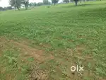 Investment Opportunity in Rajasthan - Prime Land near Proposed ICD
