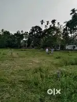 Business plot