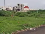 BEO Office back sidey