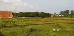 मुझे आधा बिस्सा जमीन चाहिए, जो पहड़िया चौराहा से 2 किलोमिटर तक में हो