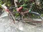 Neelam bicycle heavy rime Heavy tare