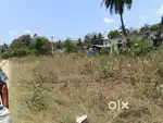Low Budget plots for sale at Vellore Arapakkam
