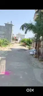 SALEMPUR PATAURA MOHAN ROAD IN FRONT OF SHAKUNTALA UNIVERSITY.